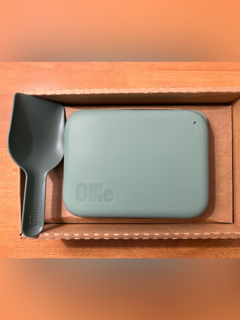 NEW Ollie Green Silicone Pet Food Storage Container with Green Scoop